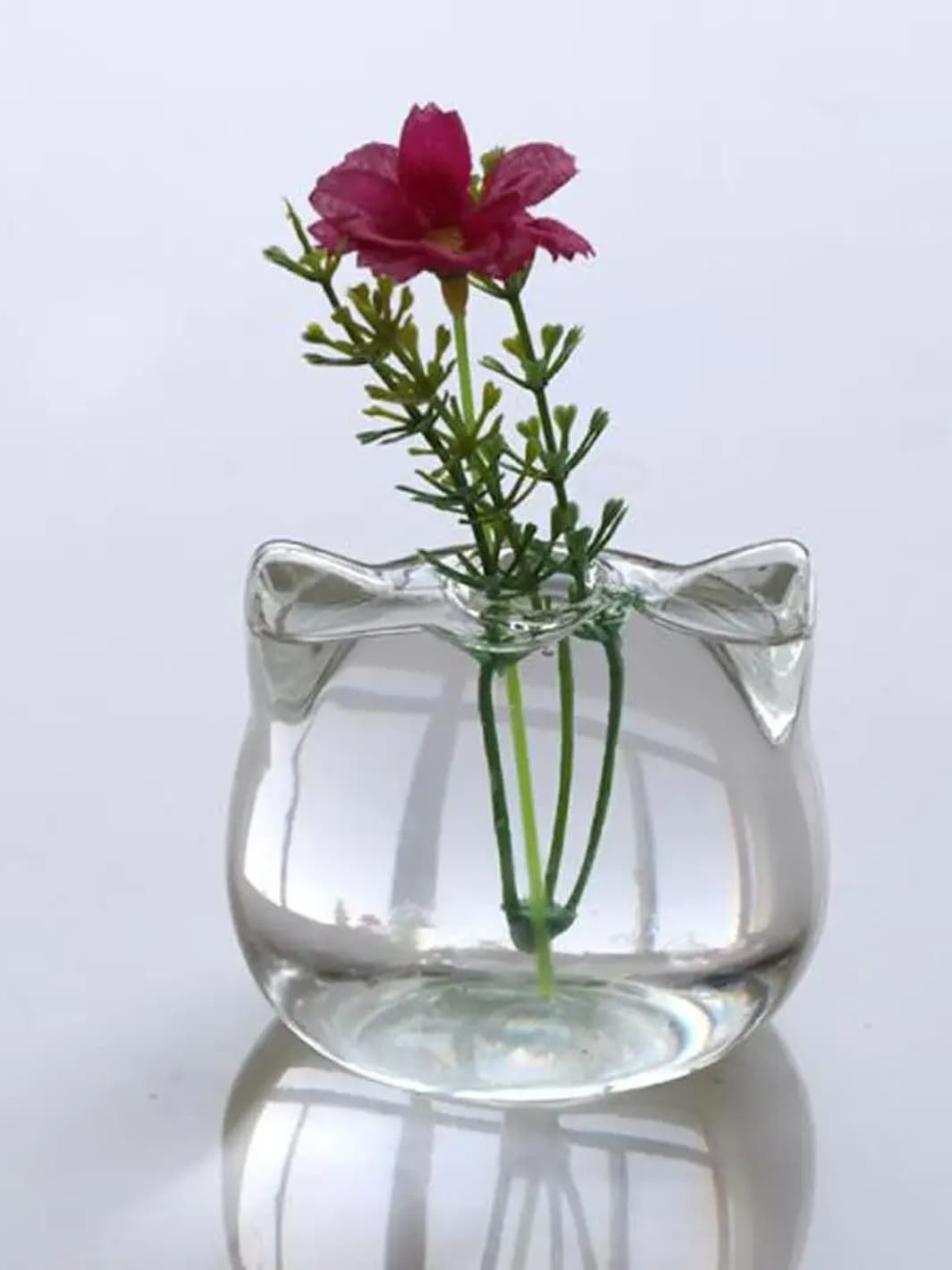 Vase | Mini pot chat en verre transparent
