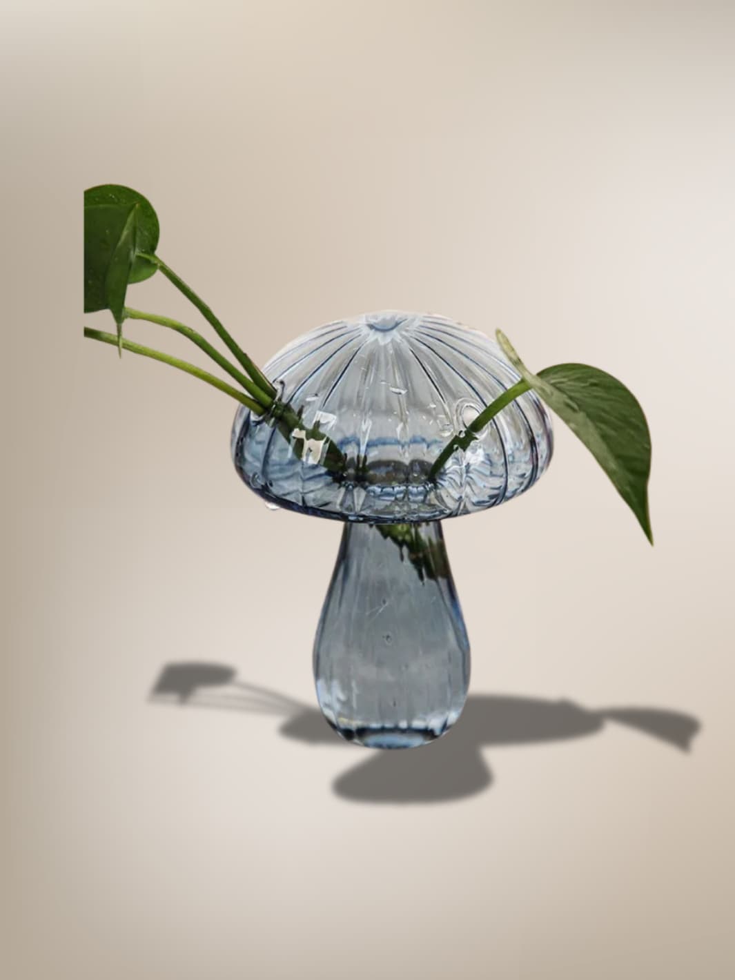 Vase | Champignon en verre coloré