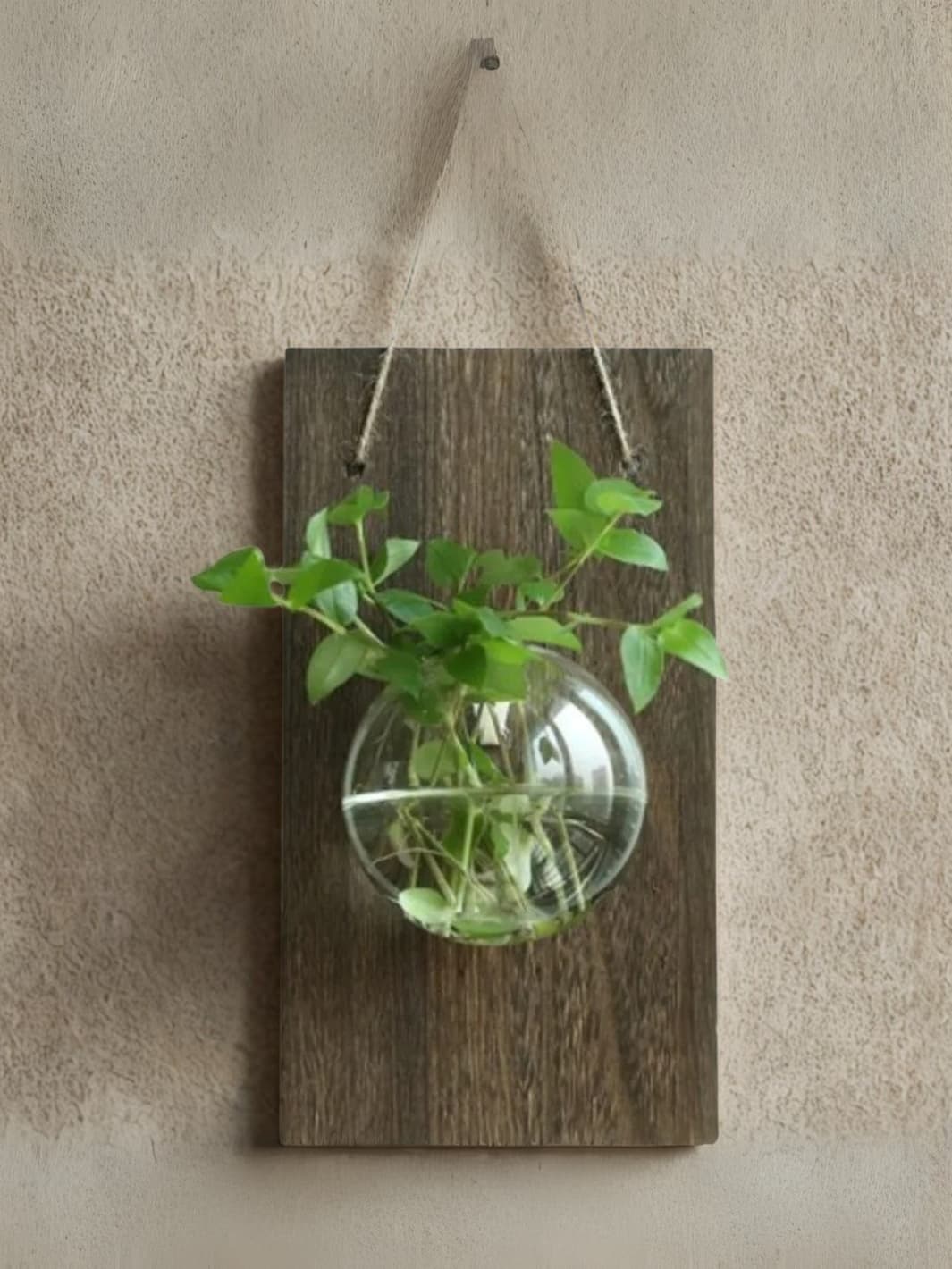 Vase | Suspension mural bois et verre