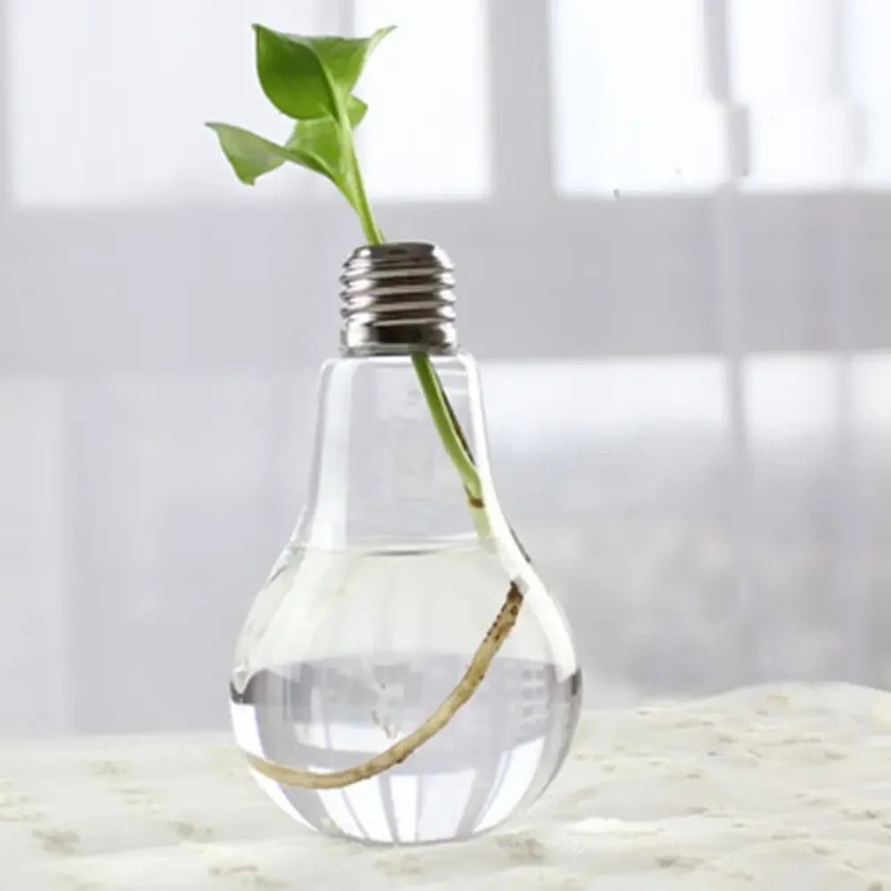 Vase | Pot en verre transparent plantes aquatiques
