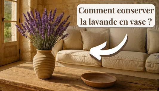 Comment conserver la lavande en vase