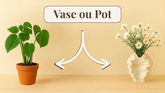 Vase ou pot : lequel choisir pour votre déco ?