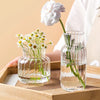 Vase Transparent