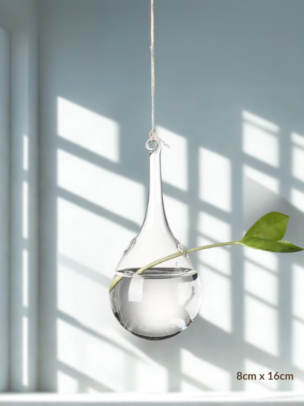 Vase | Suspension en verre transparent pour boutures