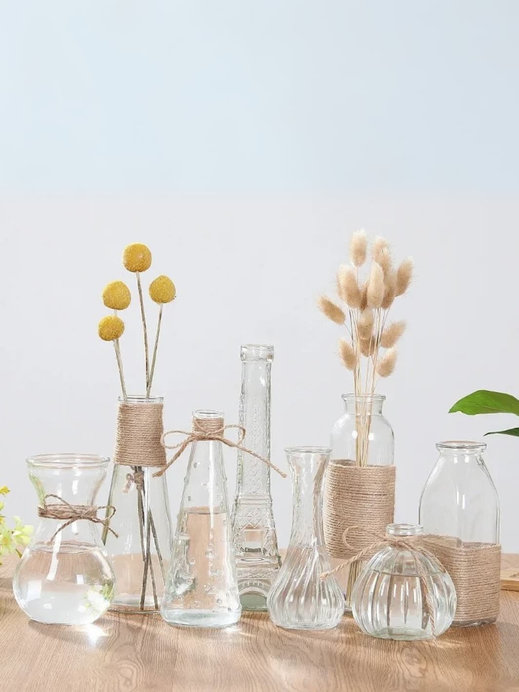 Vase | Pot transparent en verre pour fleurs séchées