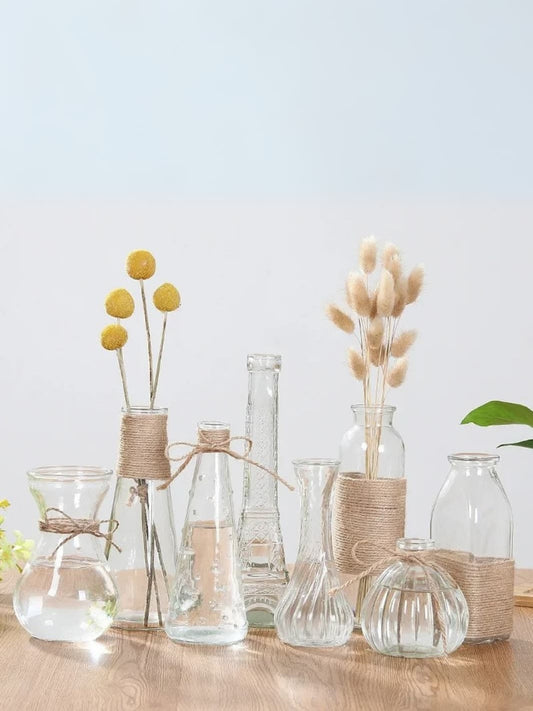 Vase | Pot transparent en verre pour fleurs séchées