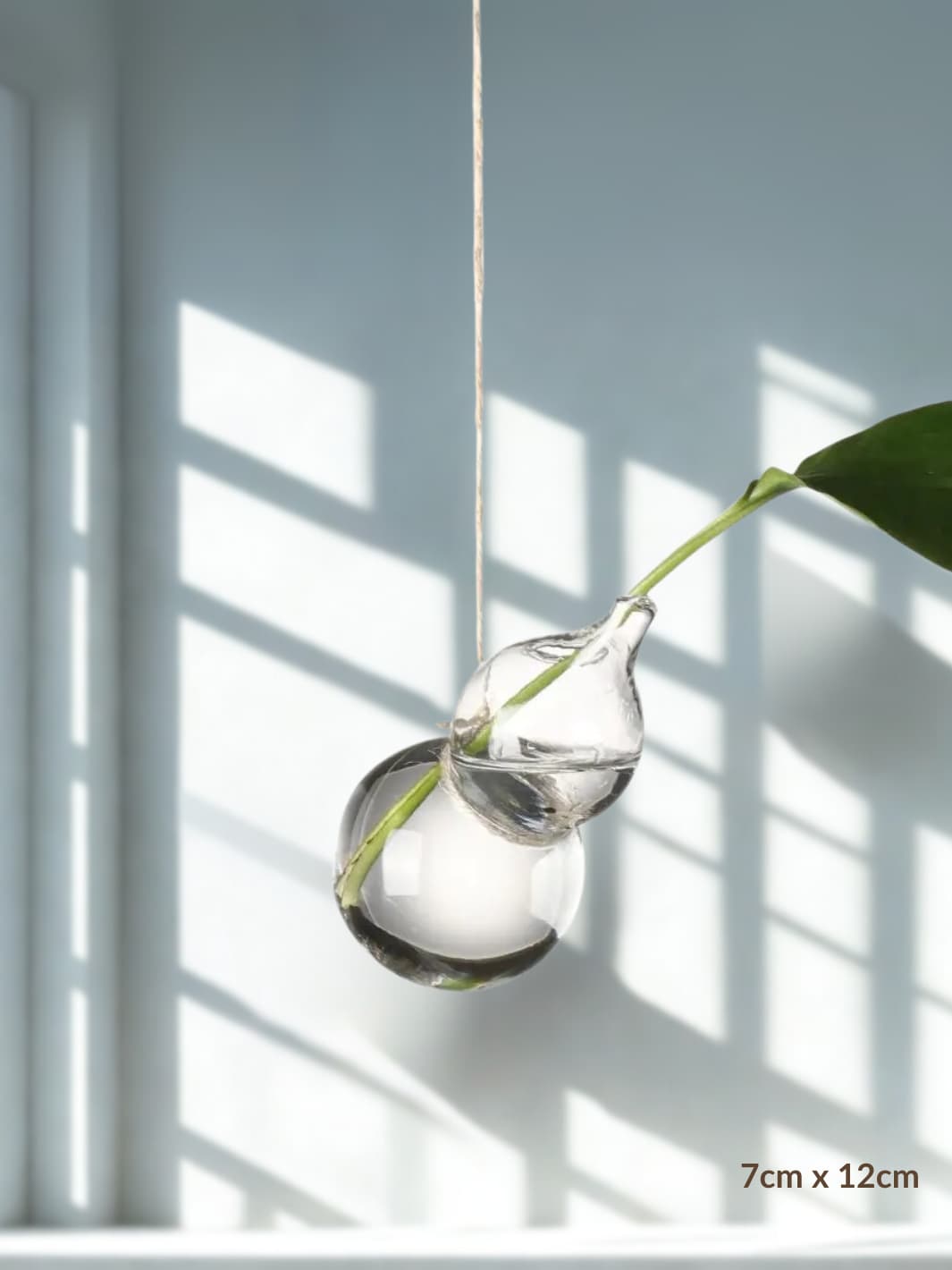 Vase | Suspension en verre transparent pour boutures