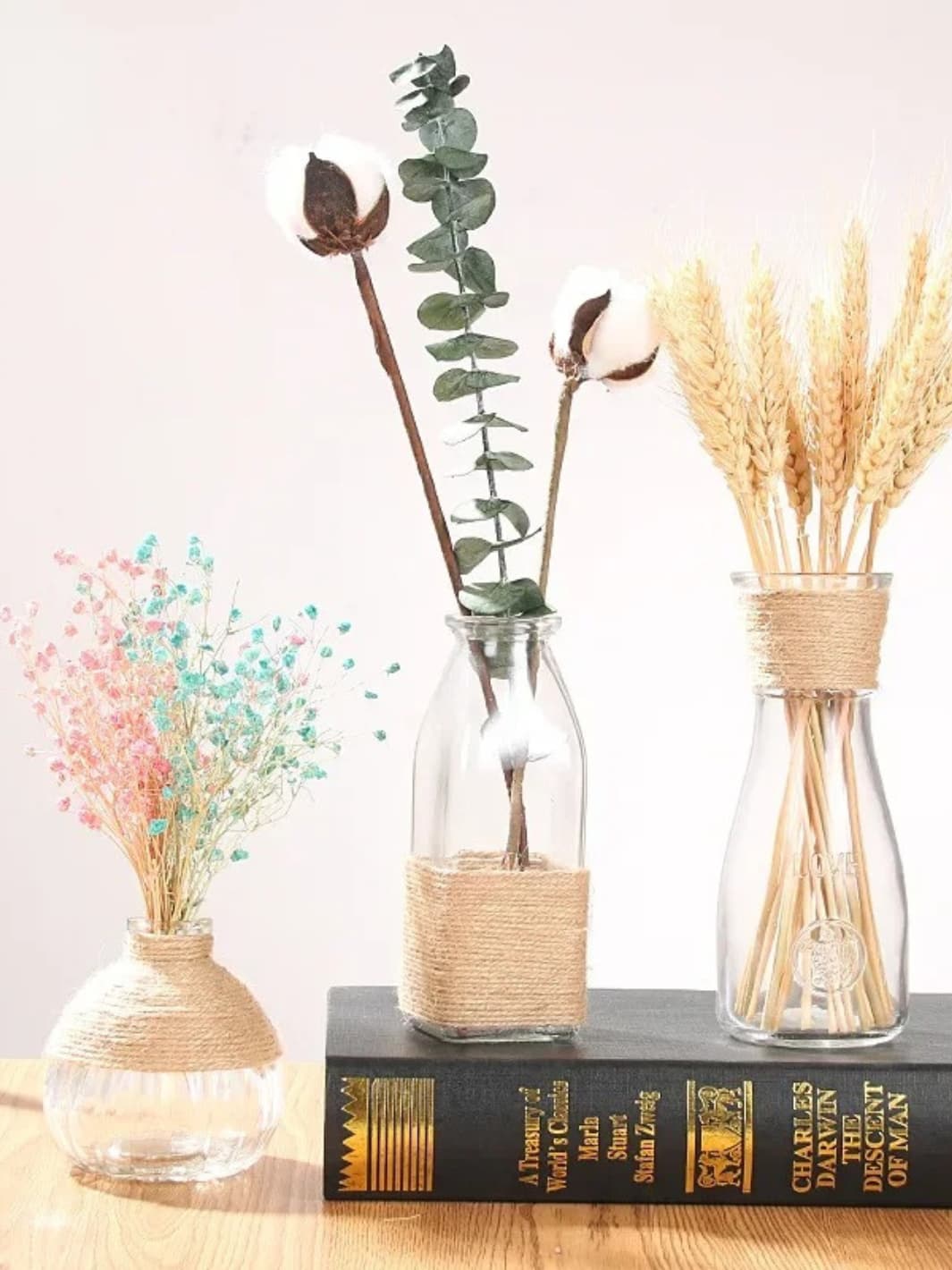 Vase | Pot transparent en verre pour fleurs séchées