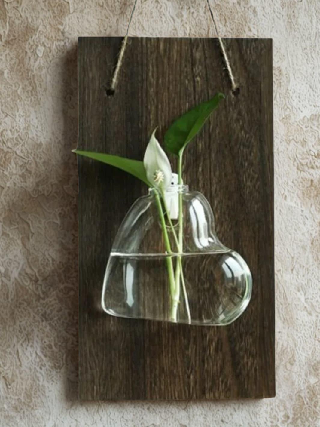 Vase | Suspension mural bois et verre