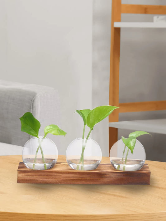 Vase | Trio de fioles rondes sur support bois