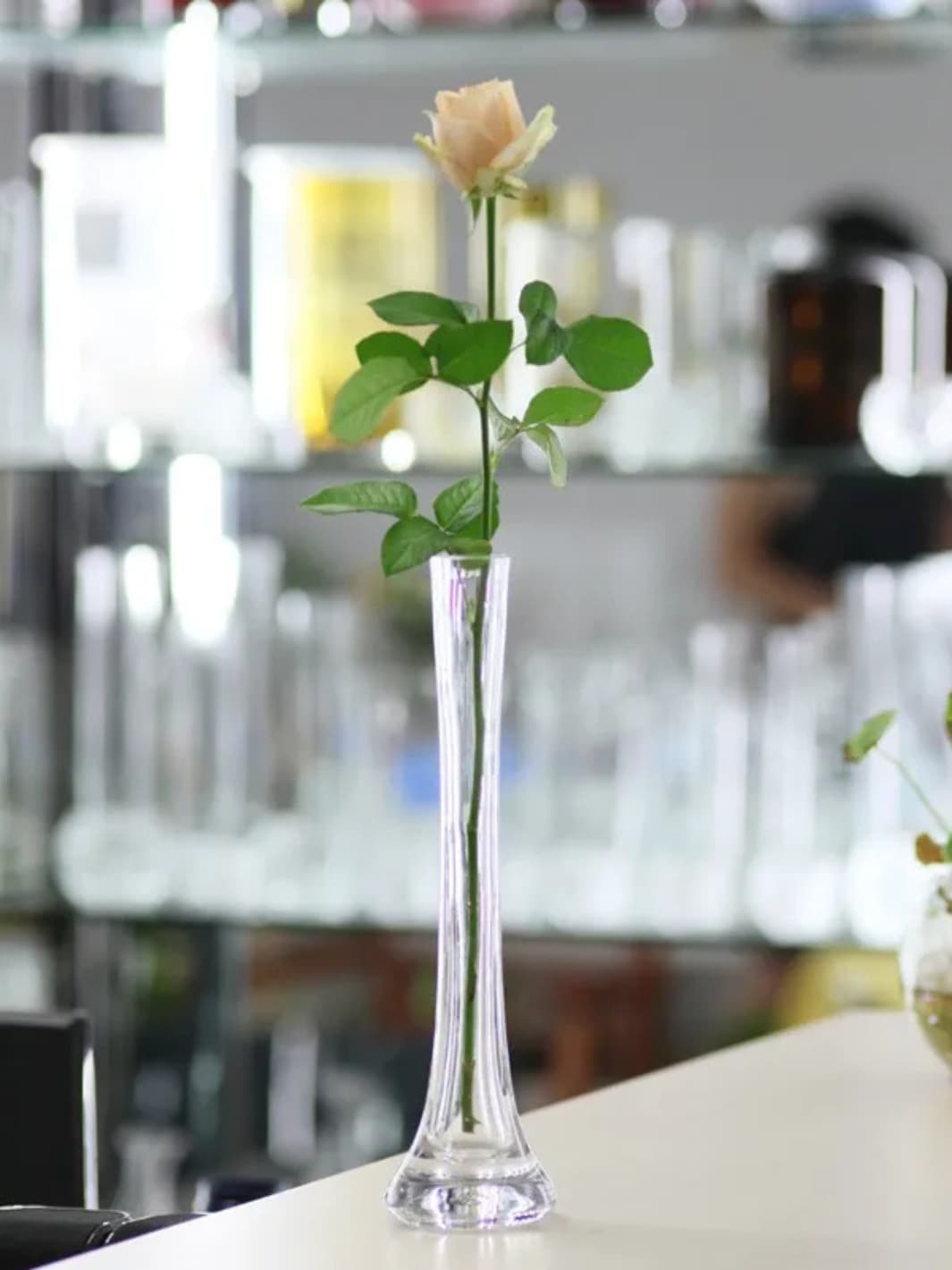 Vase | Grand cylindre en verre transparent pour tige unique