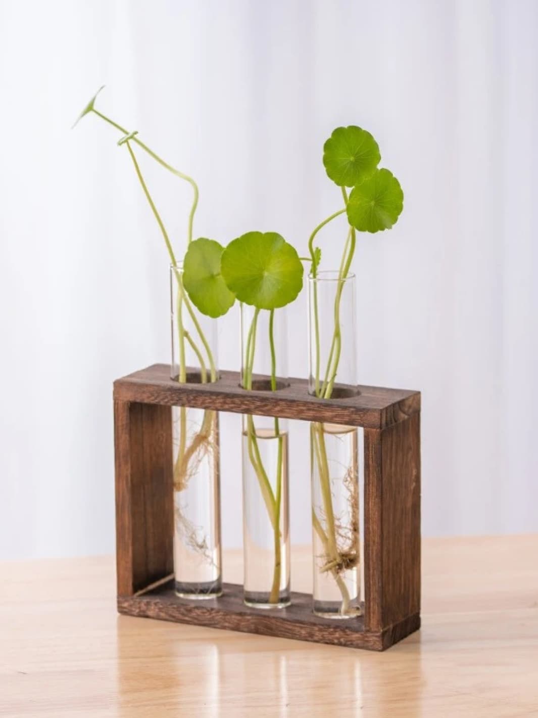 Vase | Éprouvette en bois naturel pour boutures