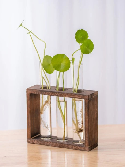 Vase | Éprouvette en bois naturel pour boutures