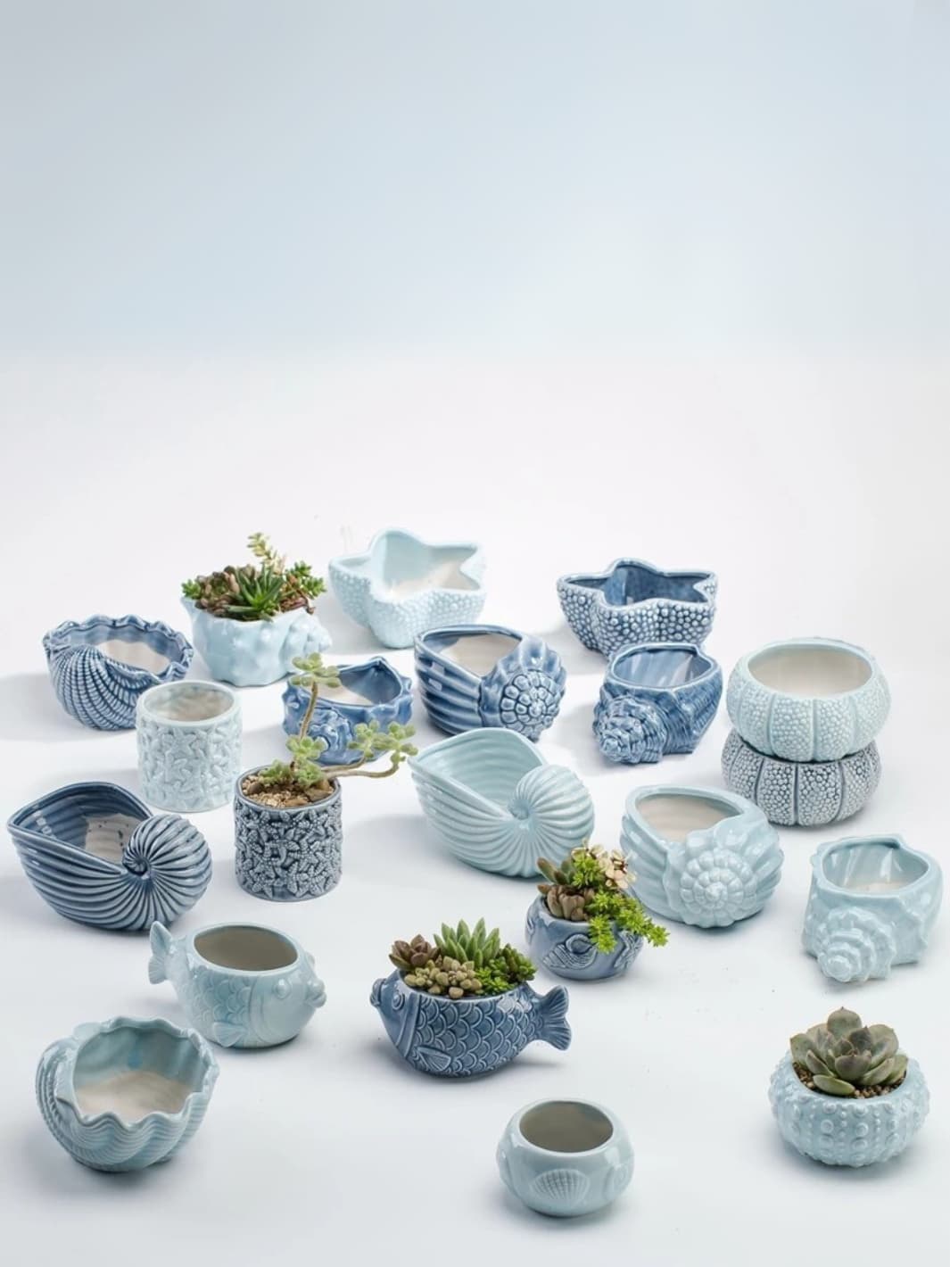 Vase | Pot étoile de mer bleu texturé