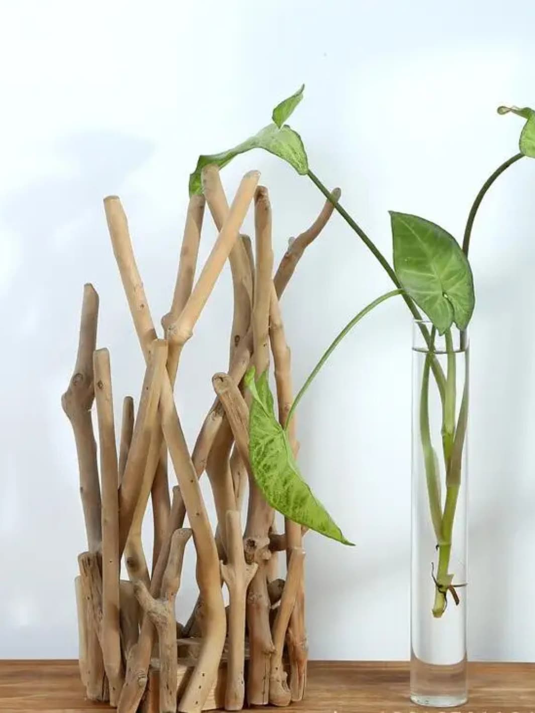 Vase | Structure artisanale bois flotté et verre