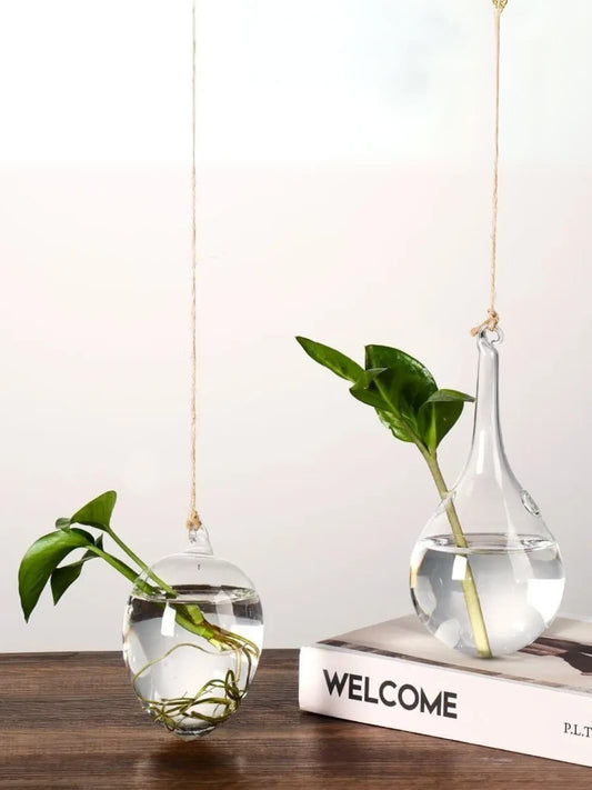 Vase | Suspension en verre transparent pour boutures
