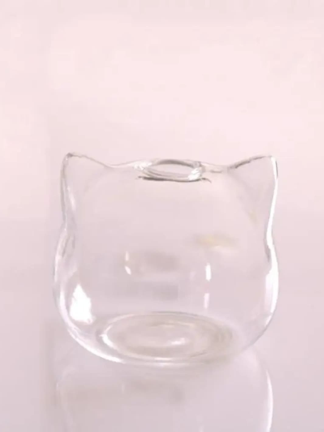 Vase | Mini pot chat en verre transparent
