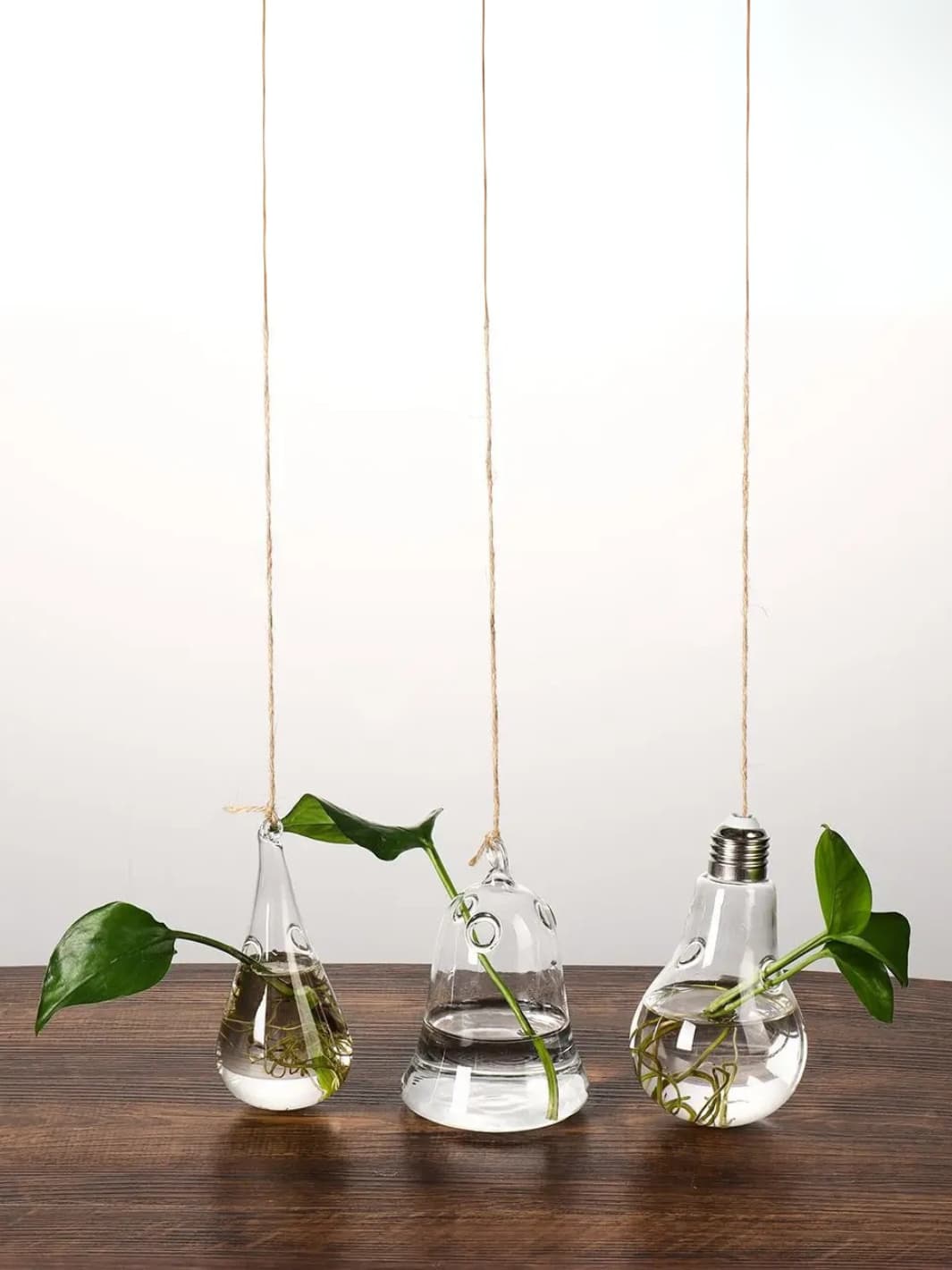Vase | Suspension en verre transparent pour boutures