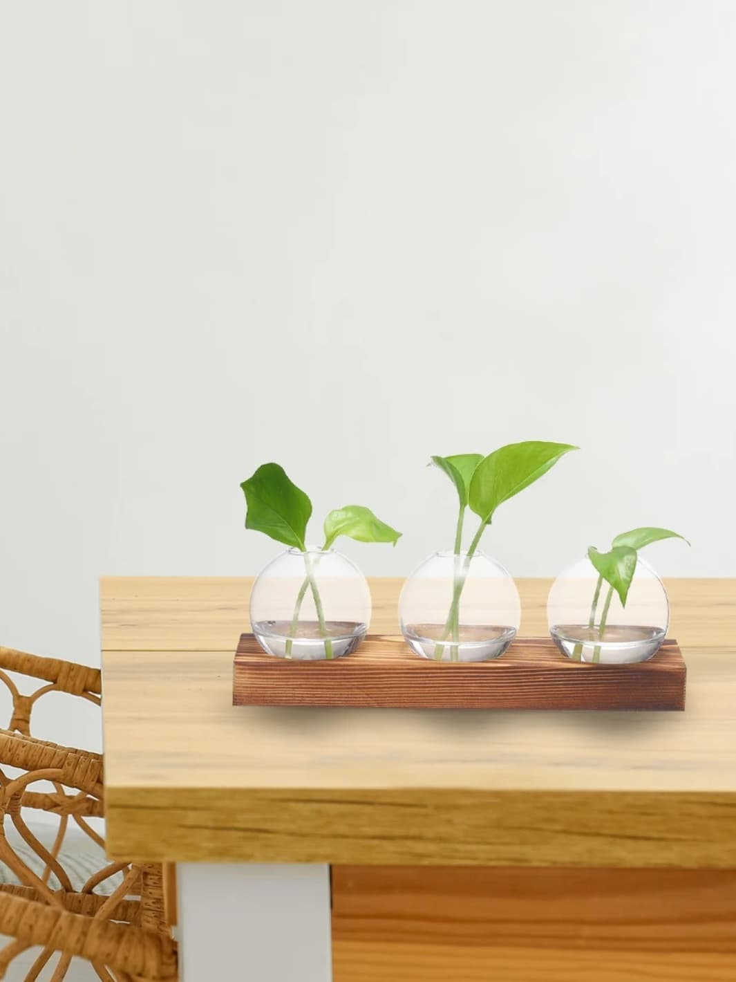 Vase | Trio de fioles rondes sur support bois