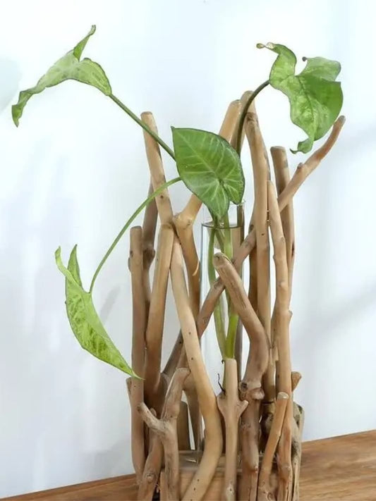 Vase | Structure artisanale bois flotté et verre