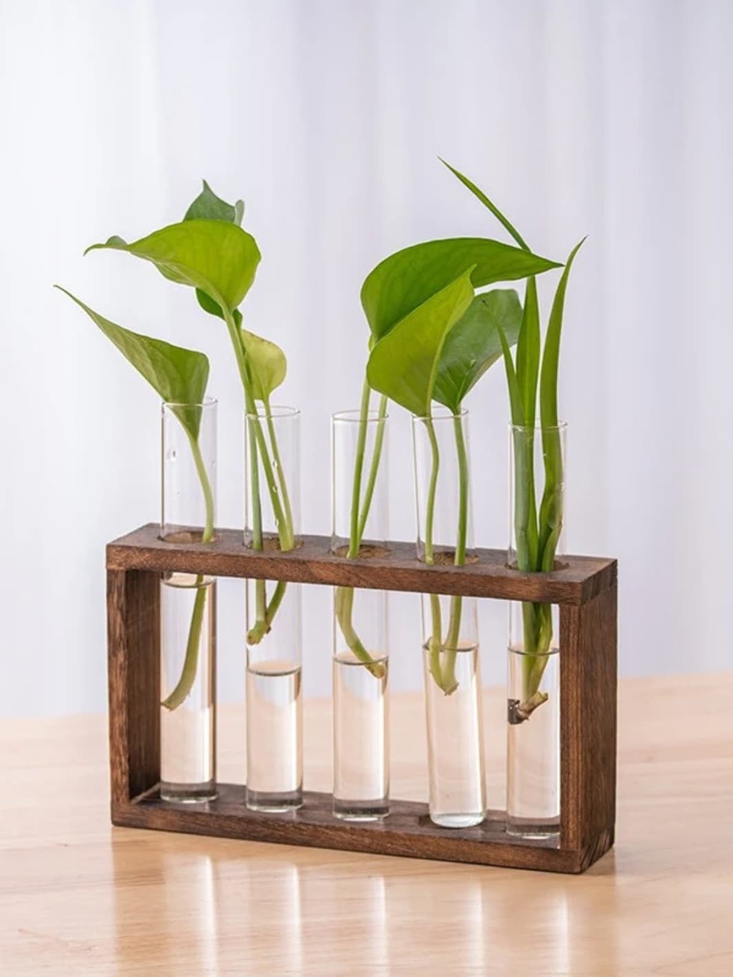Vase | Éprouvette en bois naturel pour boutures