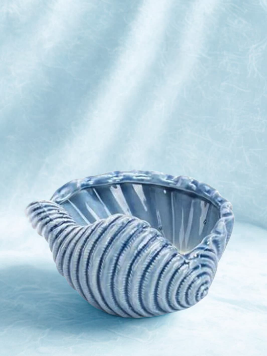 Vase | Mini pot coquillage spirale bleu pastel