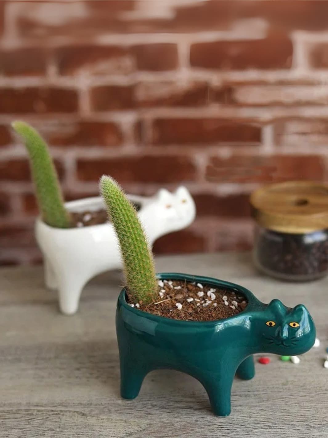 Vase | Pot chat en céramique colorée décoratif