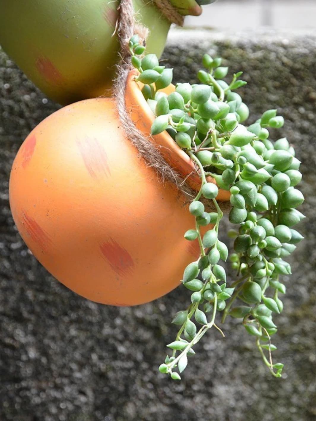 Vase | Pots suspendus en céramique multicolore