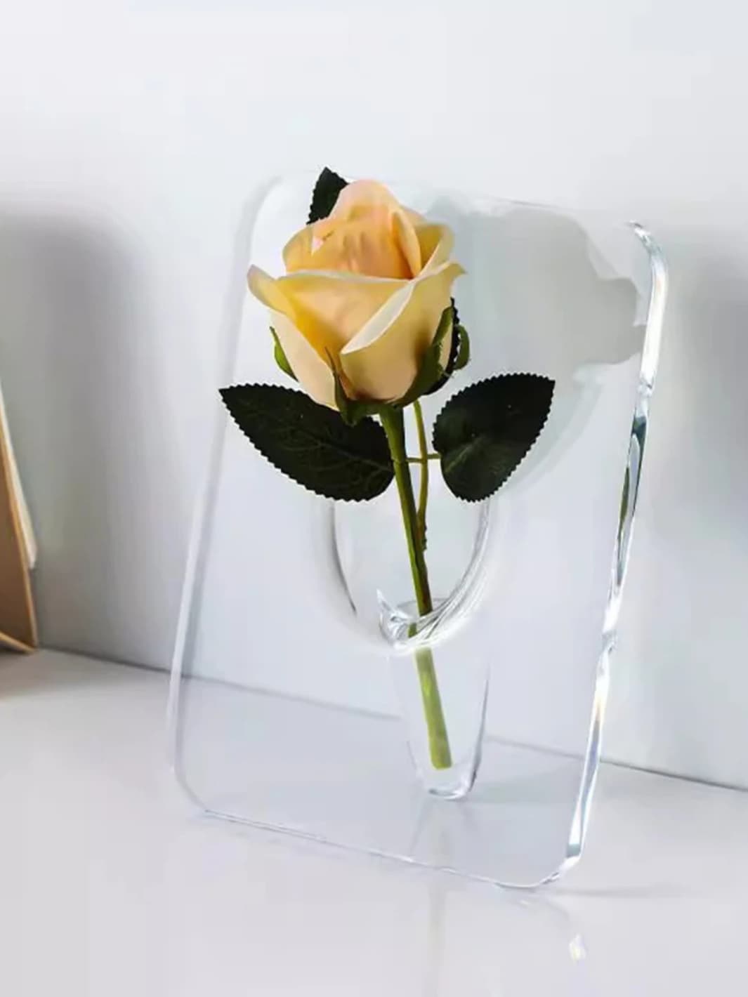 Vase | Cadre en acrylique transparent coloré