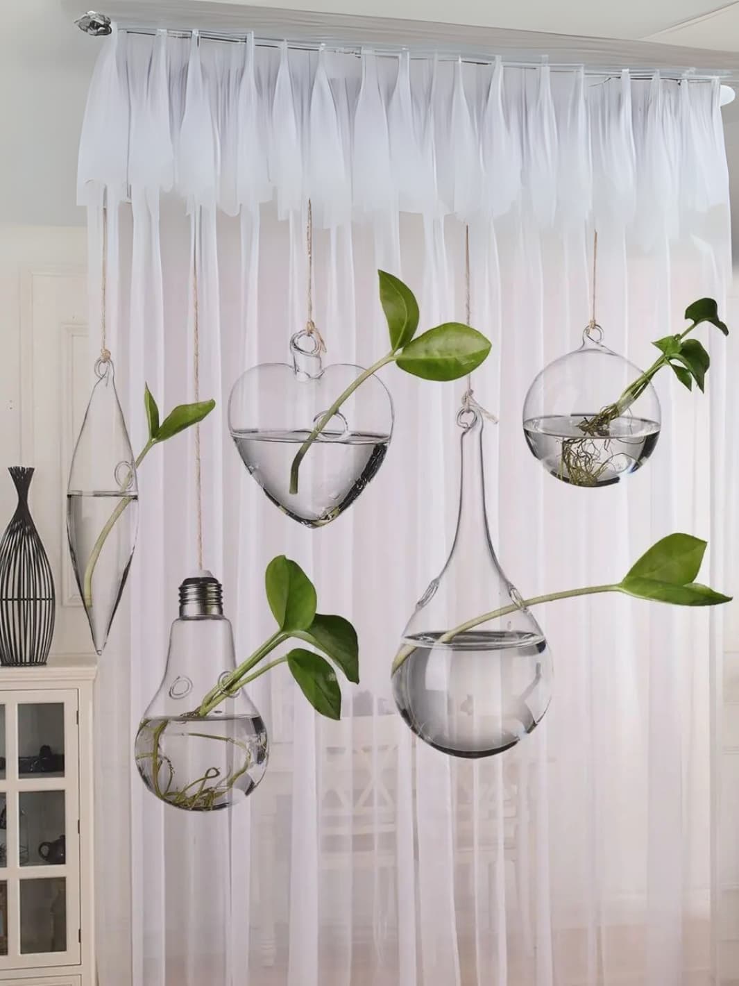Vase | Suspension en verre transparent pour boutures