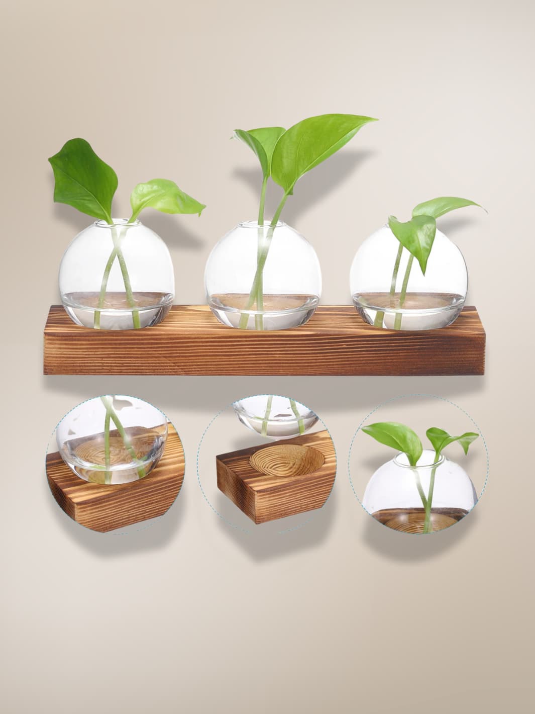 Vase | Trio de fioles rondes sur support bois