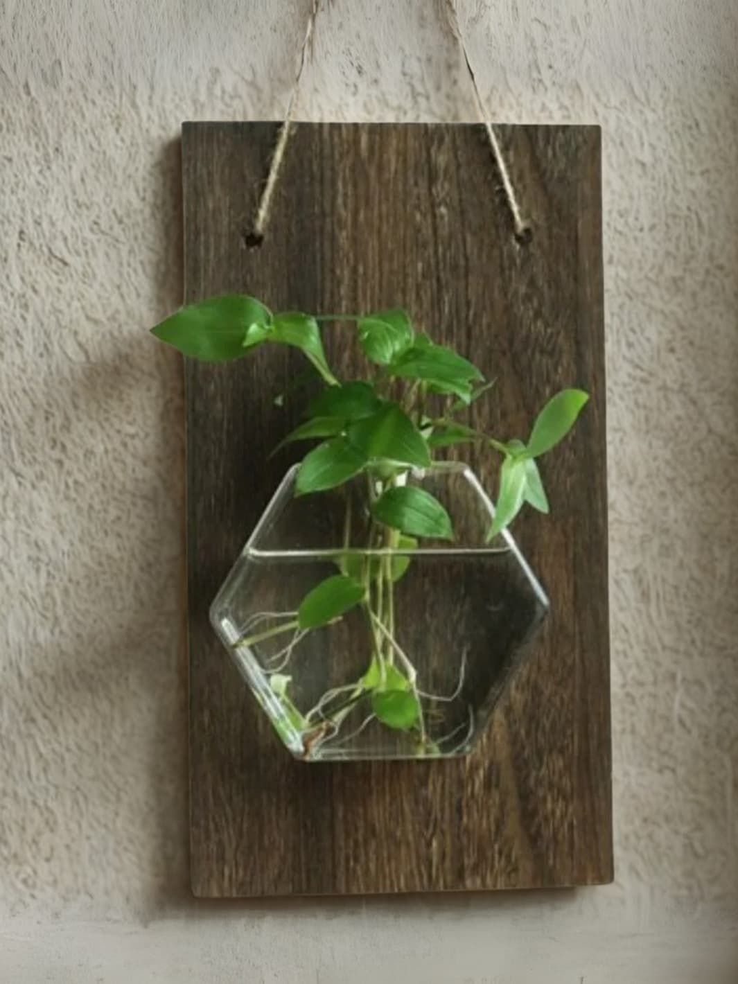 Vase | Suspension mural bois et verre