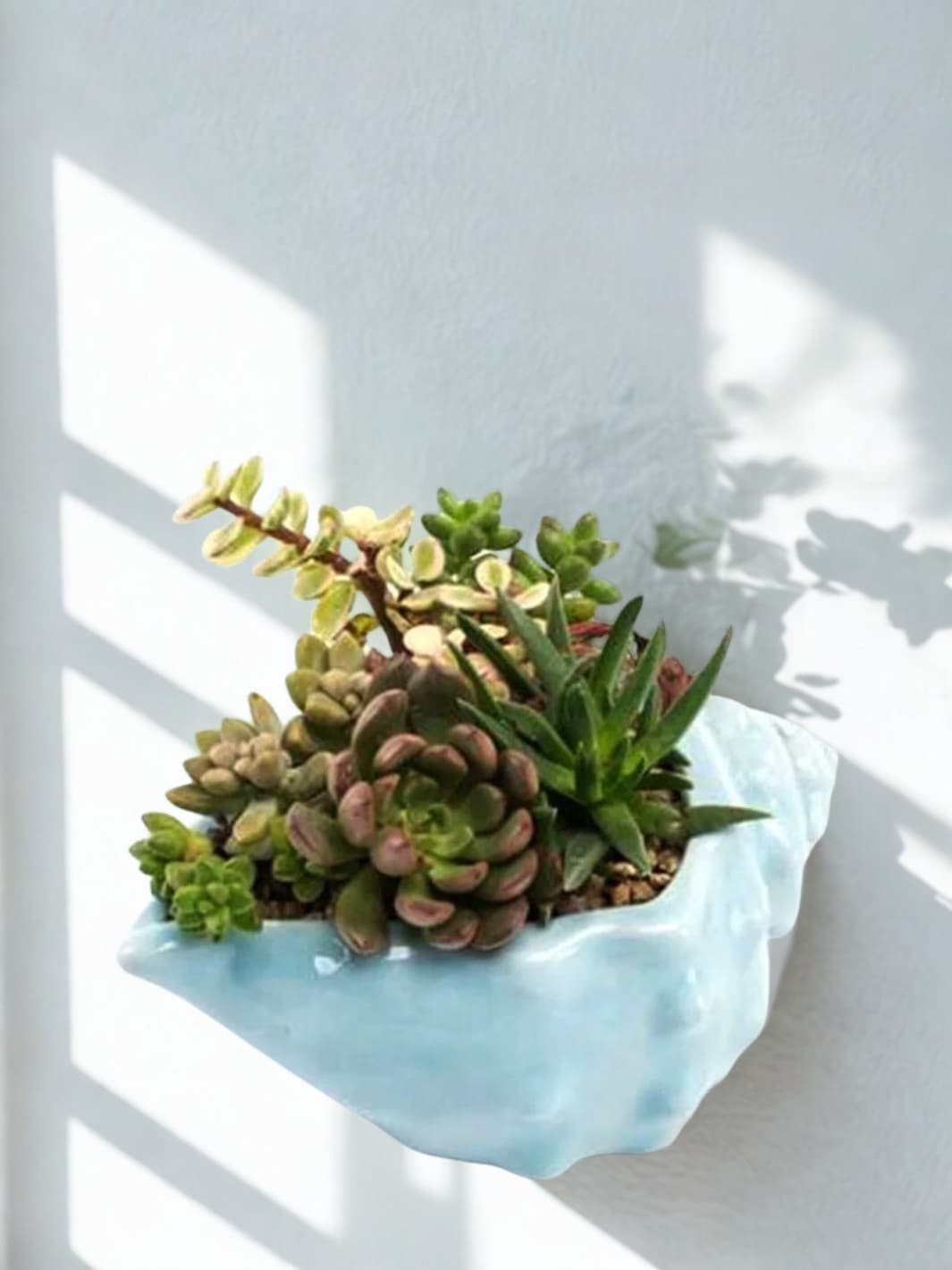 Vase | Pot coquillage bleu ondulé