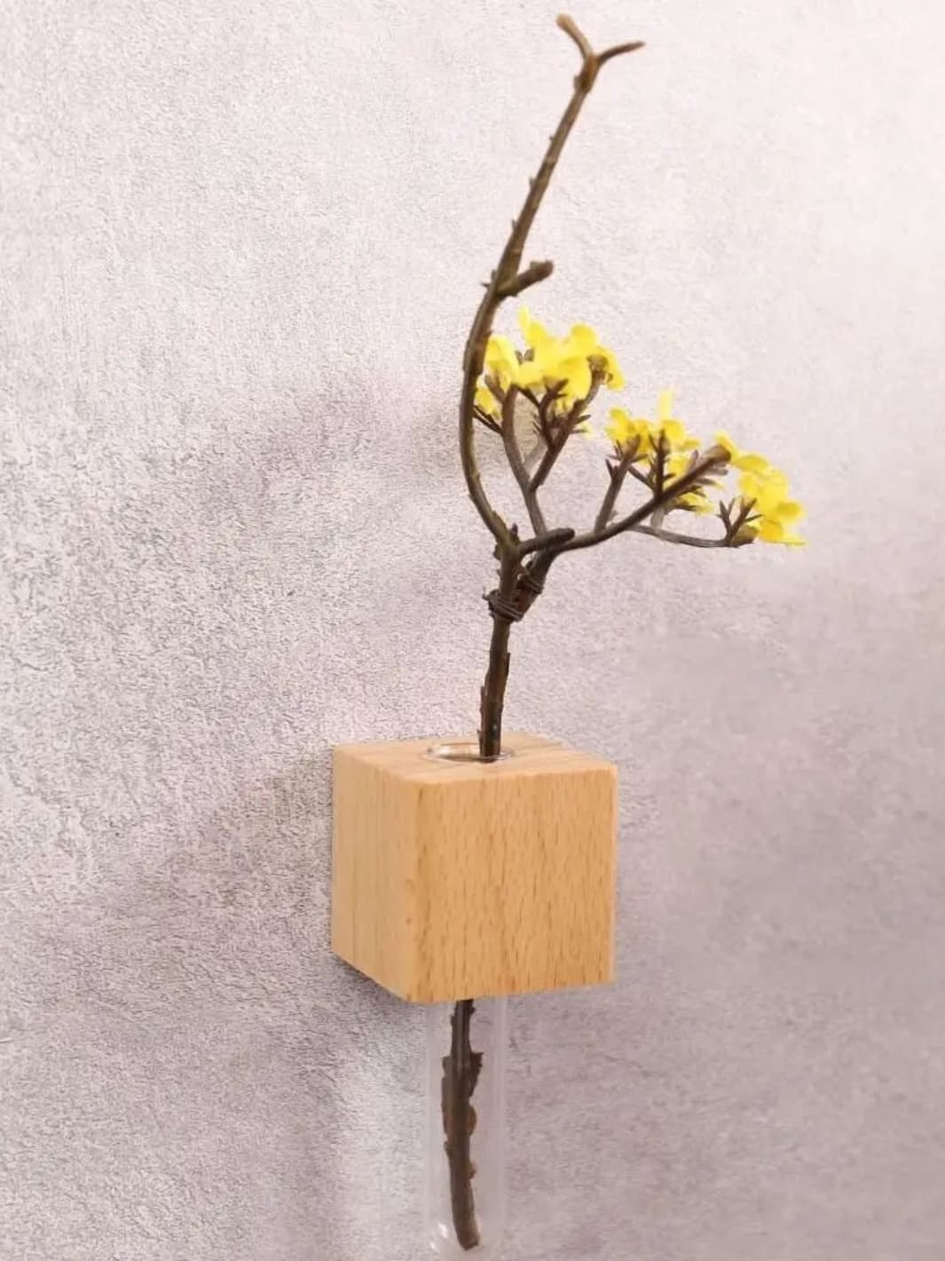 Vase | Tube à essai mural avec base magnétique
