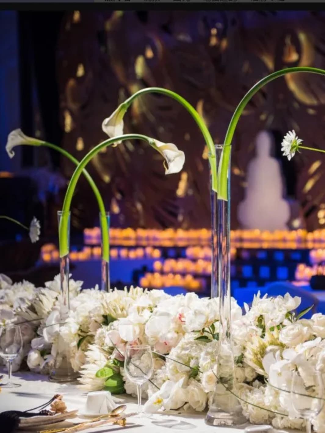 Vase | Grand cylindre en verre transparent pour tige unique