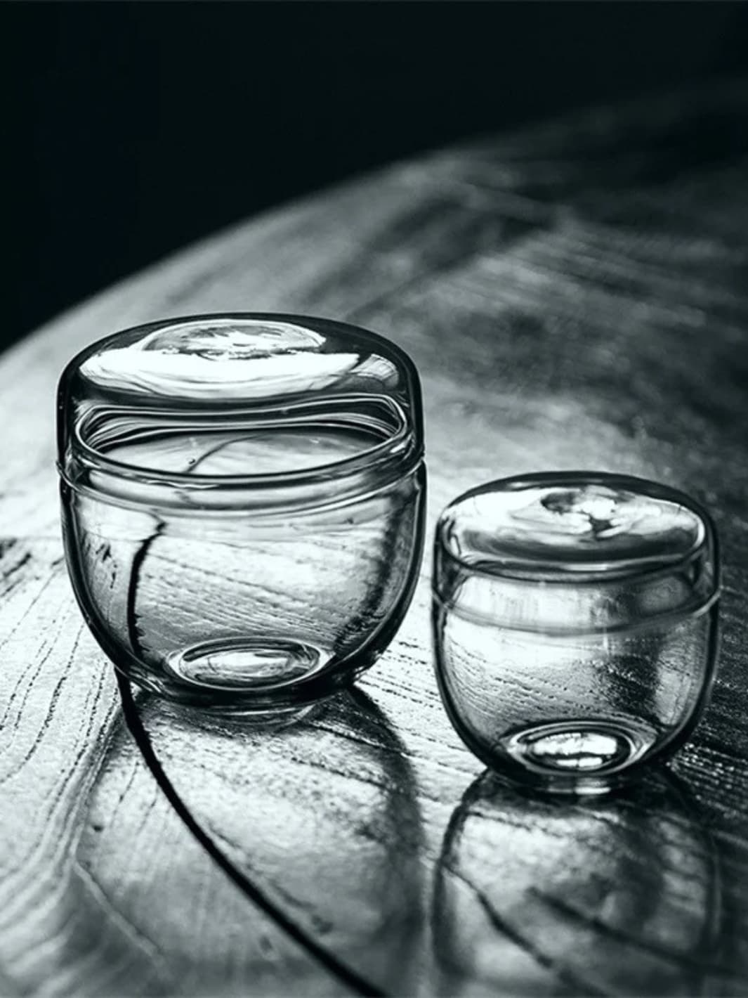 Vase | Mini terrarium en verre pour mousse et plantes