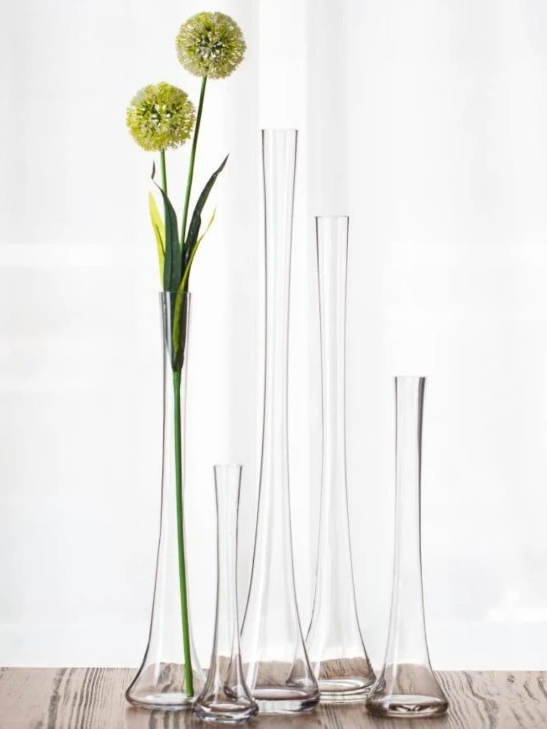 Vase | Grand cylindre en verre transparent pour tige unique