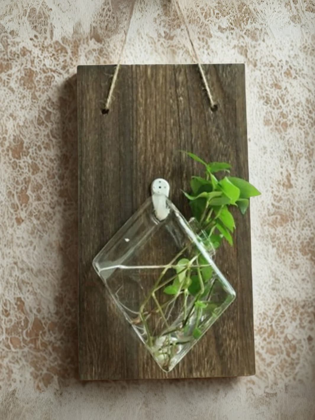 Vase | Suspension mural bois et verre