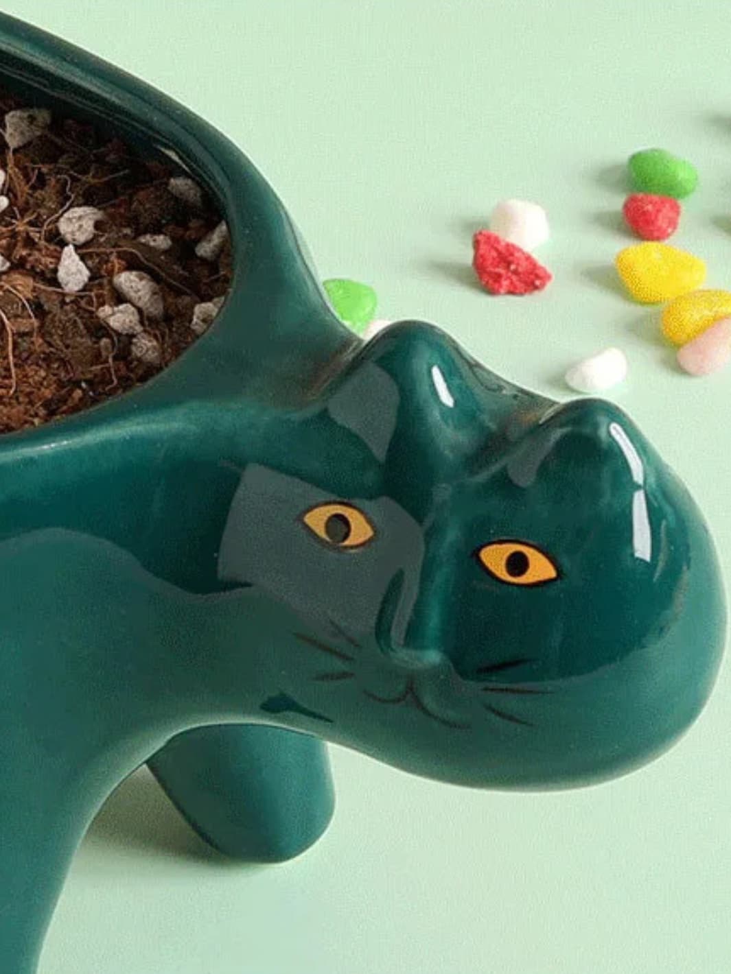 Vase | Pot chat en céramique colorée décoratif