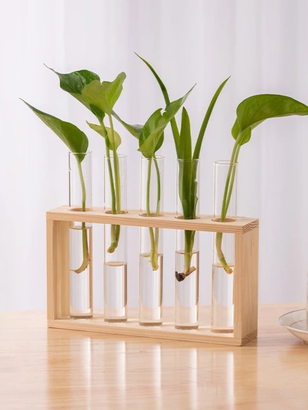 Vase | Éprouvette en bois naturel pour boutures