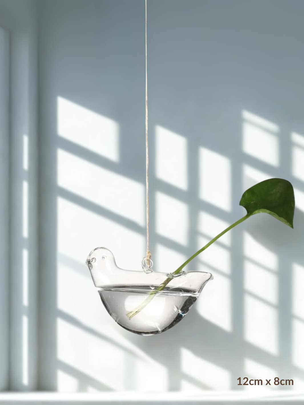 Vase | Suspension en verre transparent pour boutures