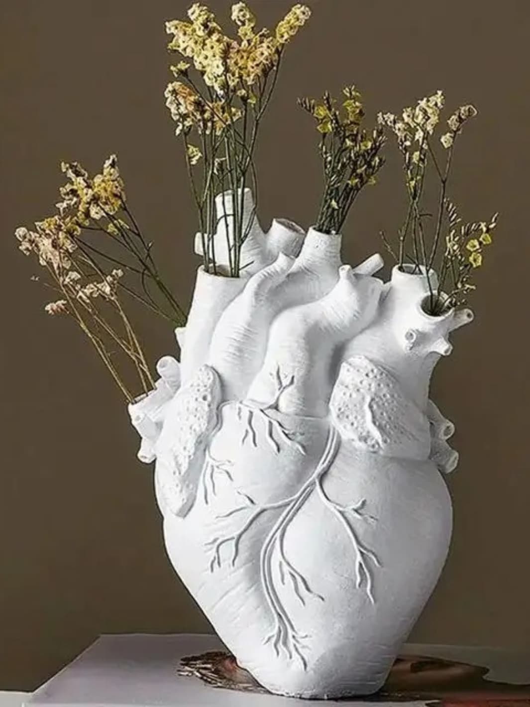 Vase | Cœur anatomique en résine réaliste