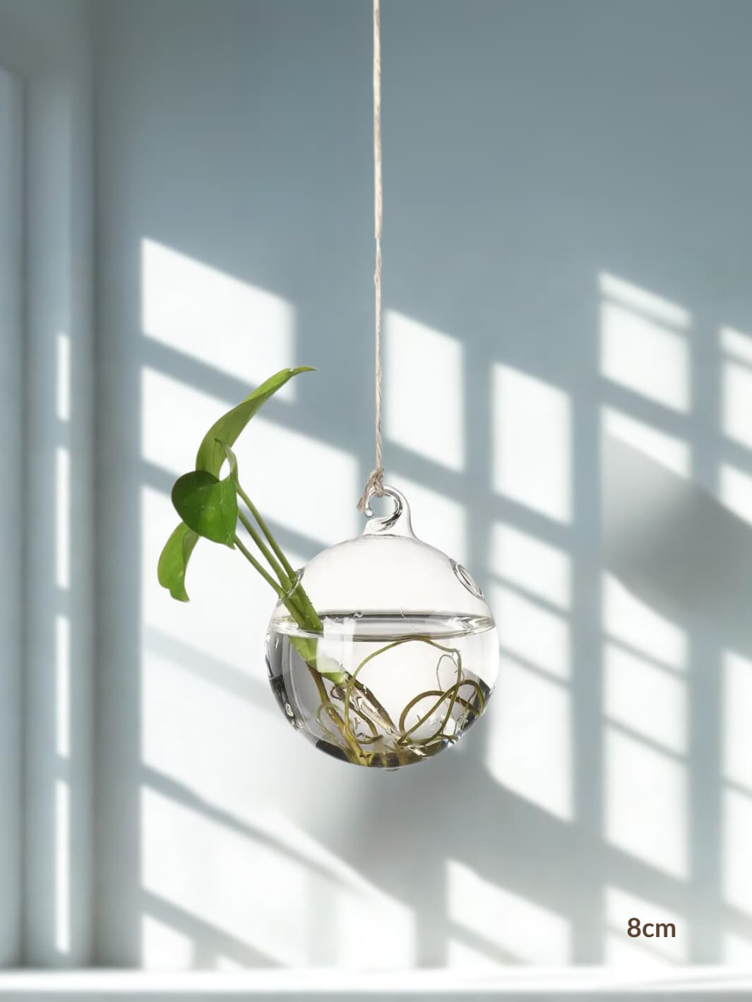 Vase | Suspension en verre transparent pour boutures