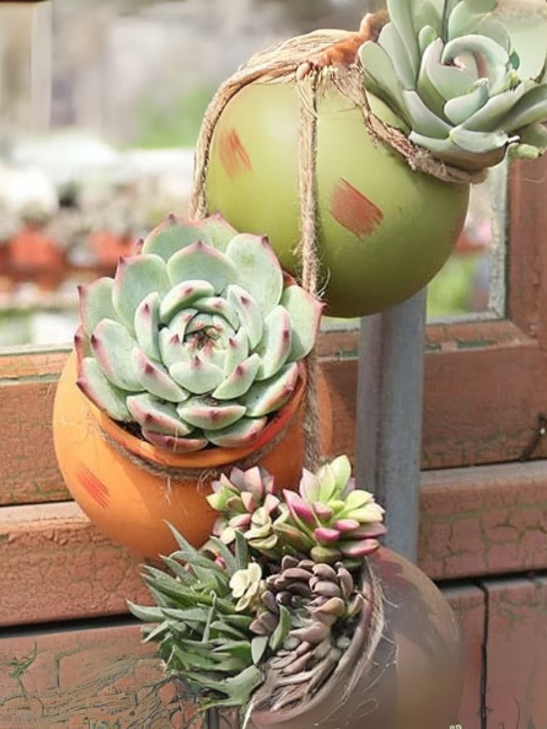 Vase | Pots suspendus en céramique multicolore