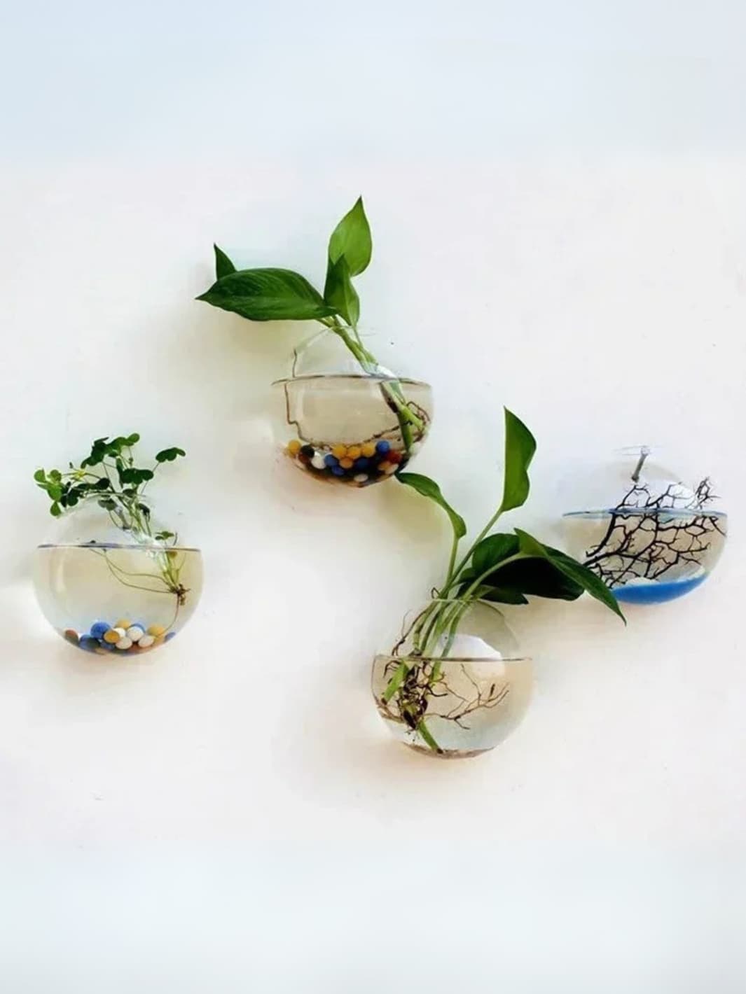 Vase | Demi-sphère murale en verre transparent