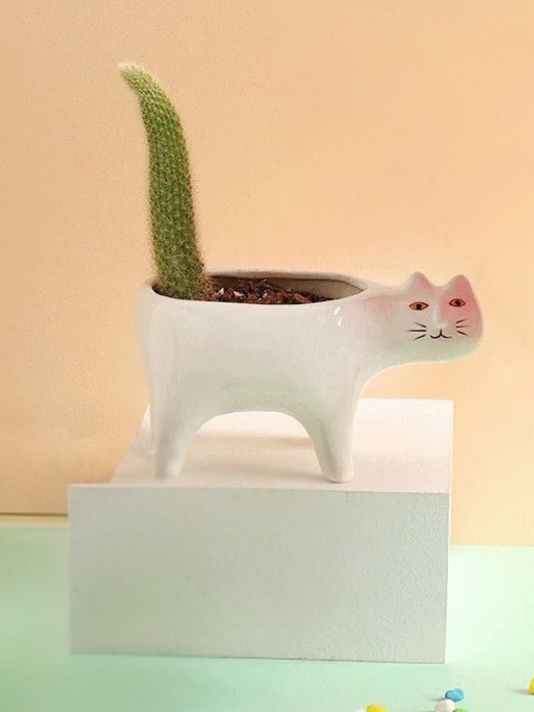 Vase | Pot chat en céramique colorée décoratif