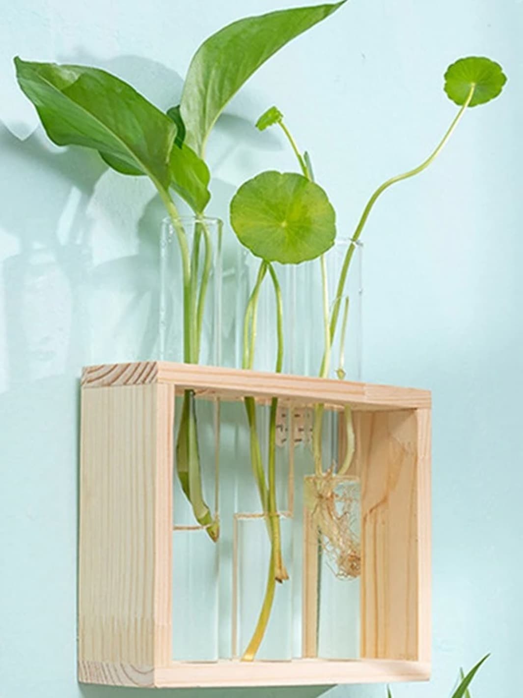 Vase | Éprouvette en bois naturel pour boutures