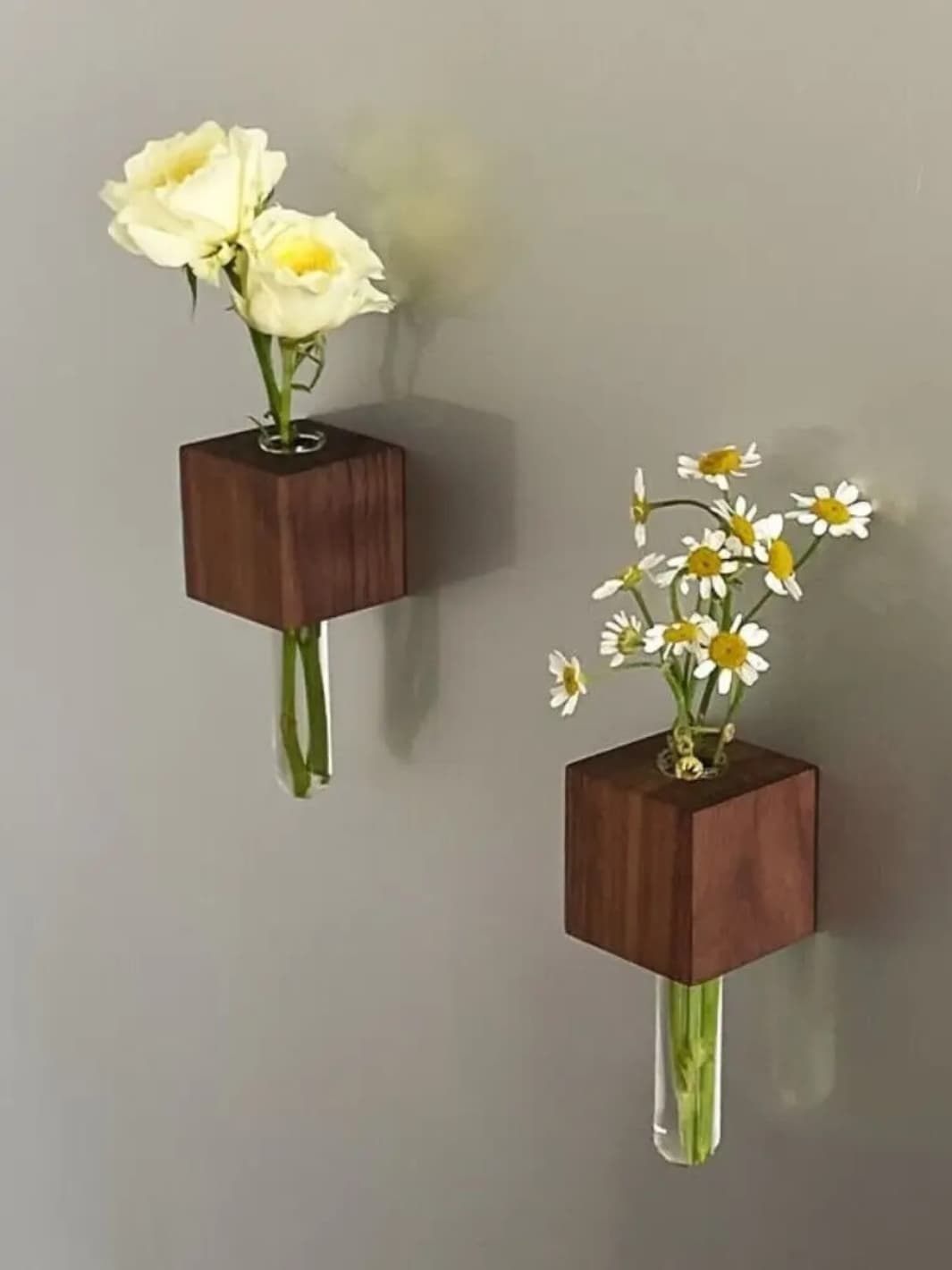 Vase | Tube à essai mural avec base magnétique