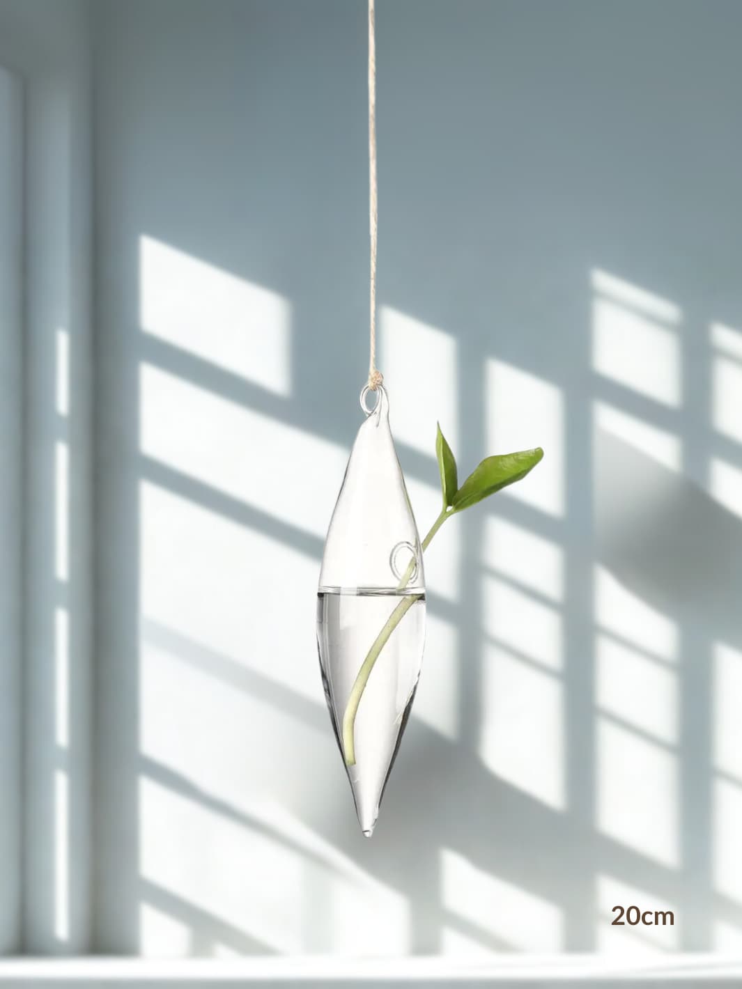 Vase | Suspension en verre transparent pour boutures