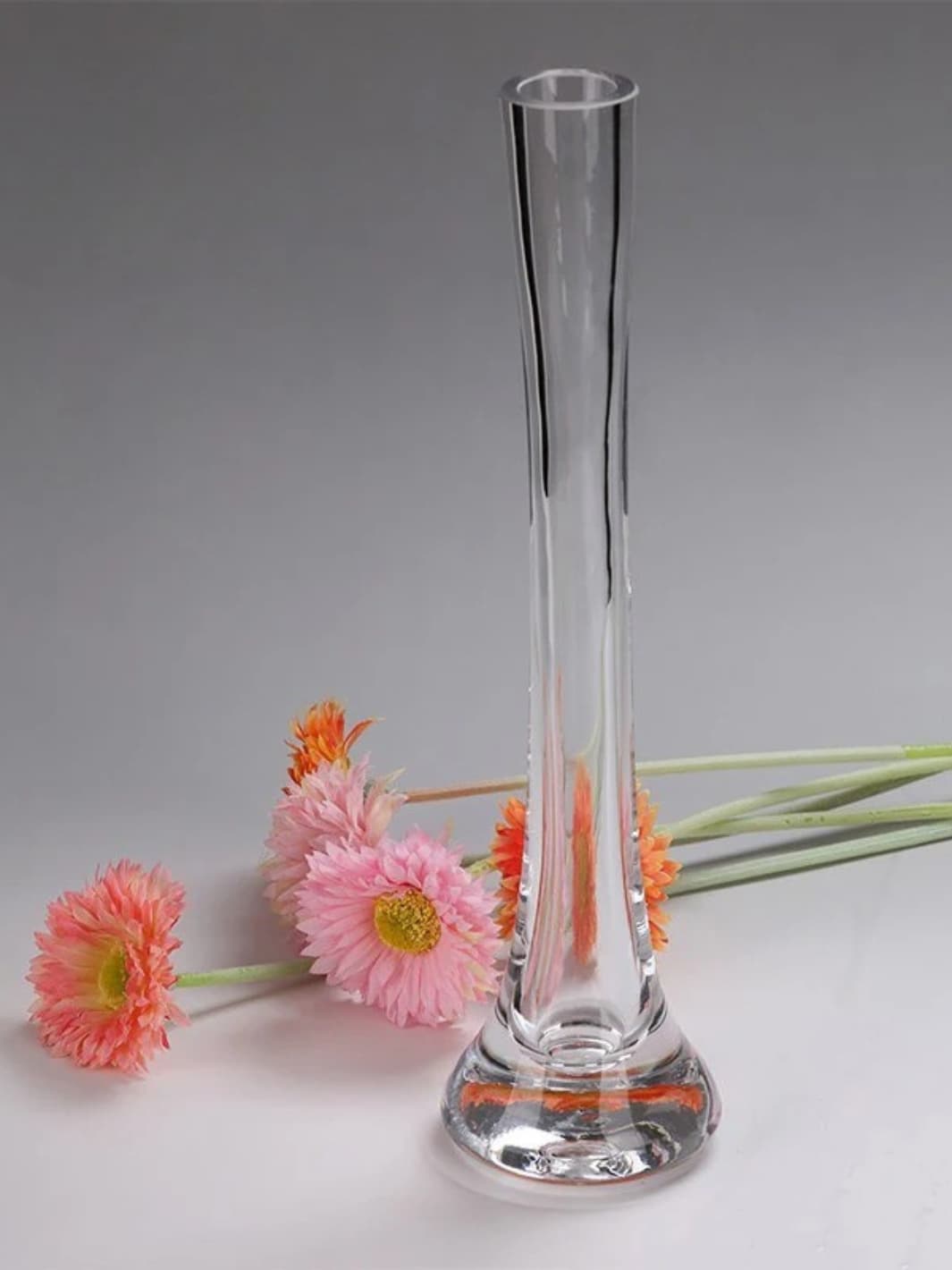 Vase | Grand cylindre en verre transparent pour tige unique